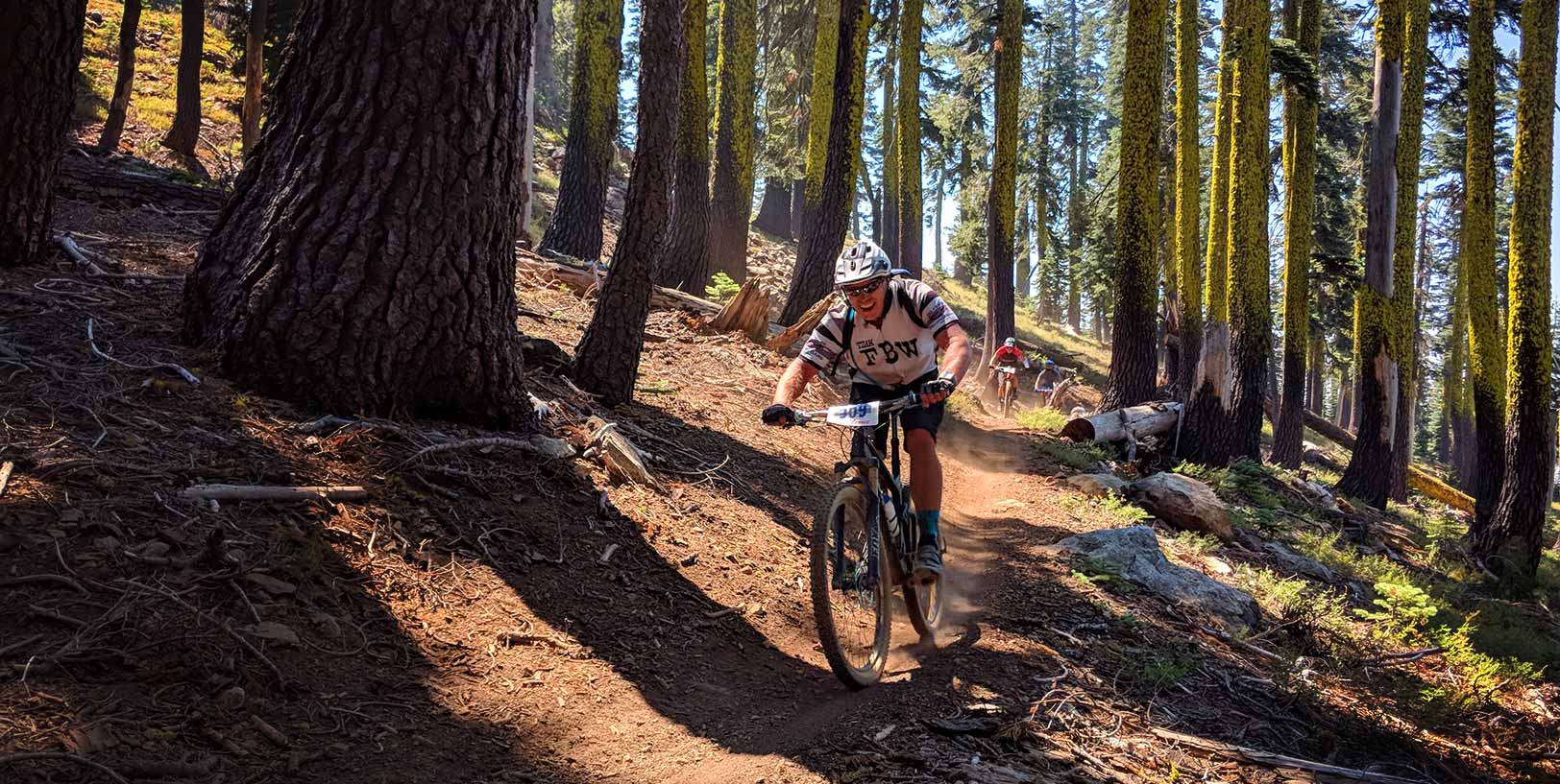 Racers riding through big pine tree trunks with green moss on them