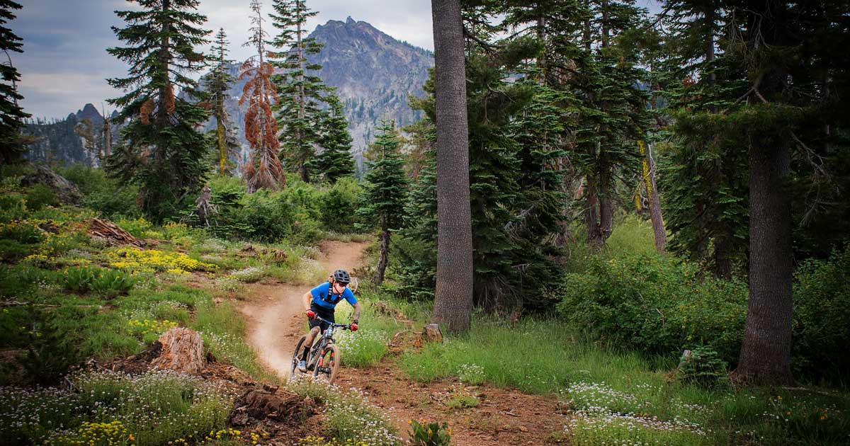 mountain bike racer on the Sierra Crest with flowers