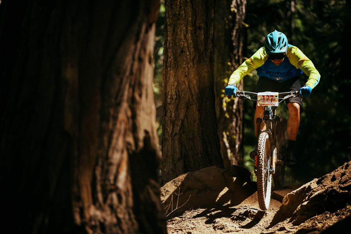 Mountain bike racer chrarging through the trees